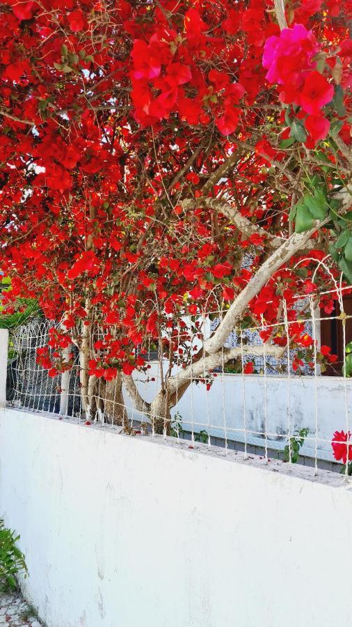 Vila Arrabida Cozy House Palmela Exteriér fotografie